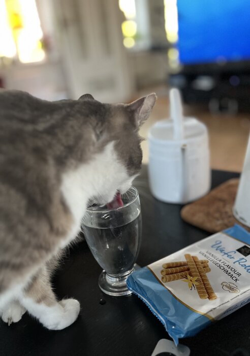 En katt dricker vatten från ett glas bredvid en påse kattgodis på ett bord.