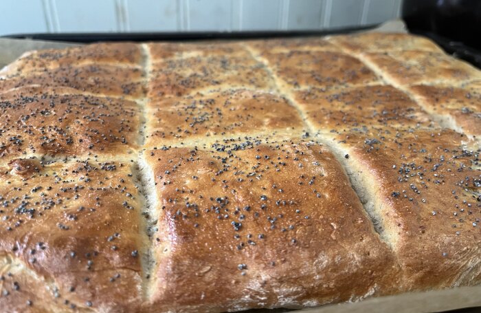 Nybakat bröd i långpanna med havregryn, rågsikt och vallmofrön på toppen.