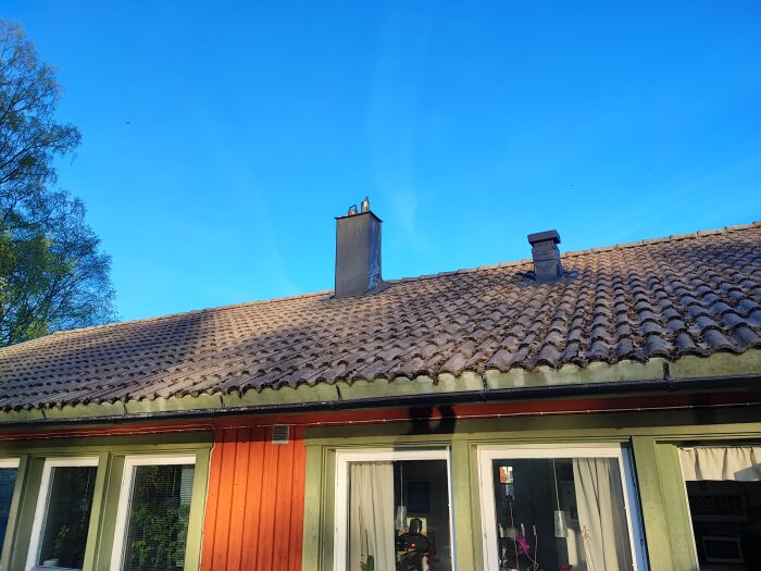 Tak med mossa på tegelpannor och två skorstenspipor på hus under blå himmel.