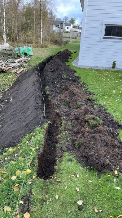 Nyplanterade thujor längs en grävd rabattkant med mörk och sandig jord mot gräsmatta.