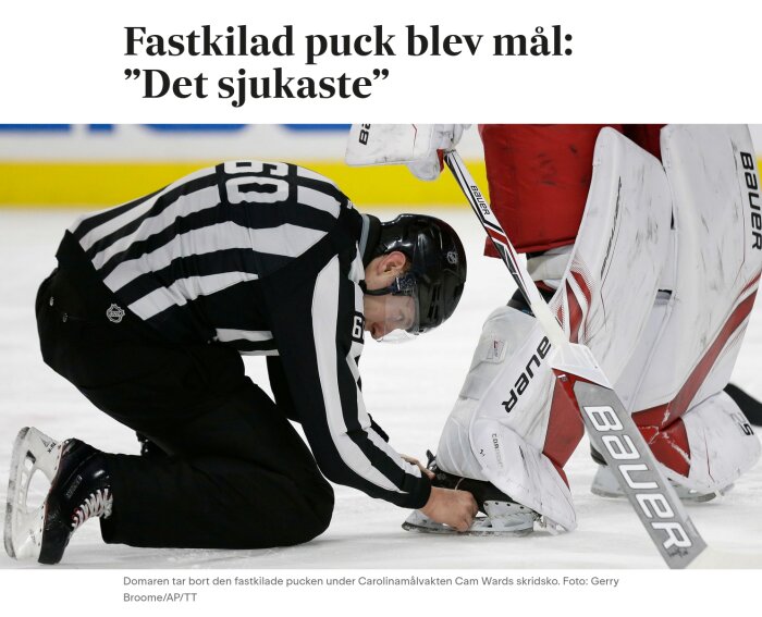 Domare i hockeymatch tar bort en puck som fastnat under en målvakts skridsko.