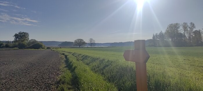 Solig äng med ett tomt trähuvud av en skylt i förgrunden och en plöjd åker till vänster.