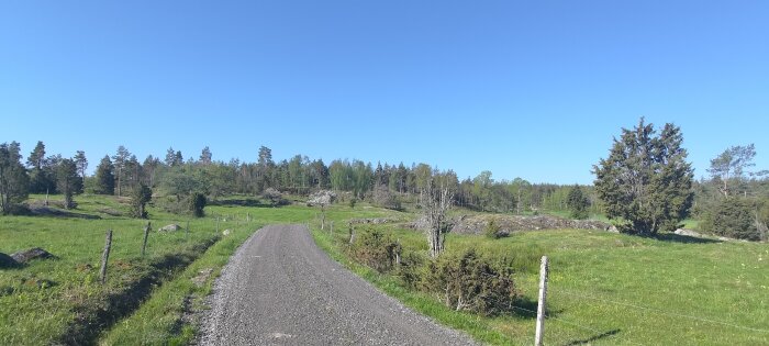 Grusväg genom lantligt landskap med gröna fält och träd under blå himmel.