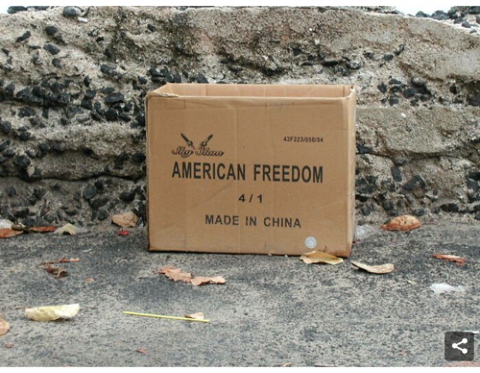 Kartong med texten "AMERICAN FREEDOM" och "MADE IN CHINA" på gatsten med löv.