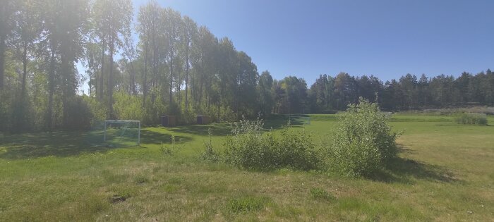 Röjd 7-mannaplan omgiven av gröna träd och buskar under en klarblå himmel.