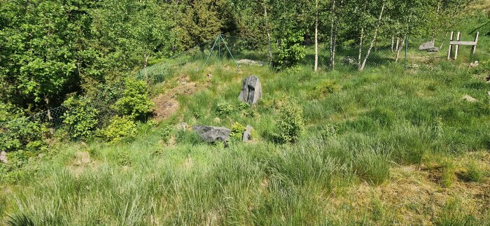 Naturtomt med ojämn gräsyta och V-format dalgång, stora stenar och träd i bakgrunden.