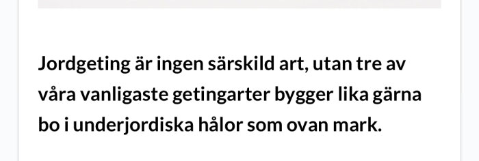 Text som förklarar att jordgeting inte är en separat art utan att vissa getingar bygger bon underjordiskt.