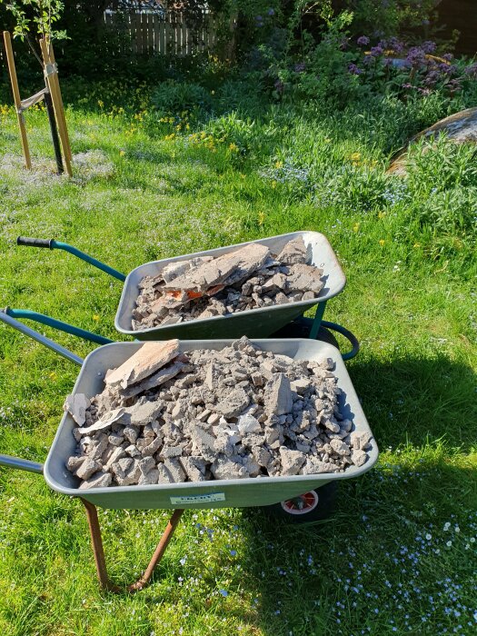 Två skottkärror fulla med byggavfall står på en blomstrande gräsmatta i soligt väder.