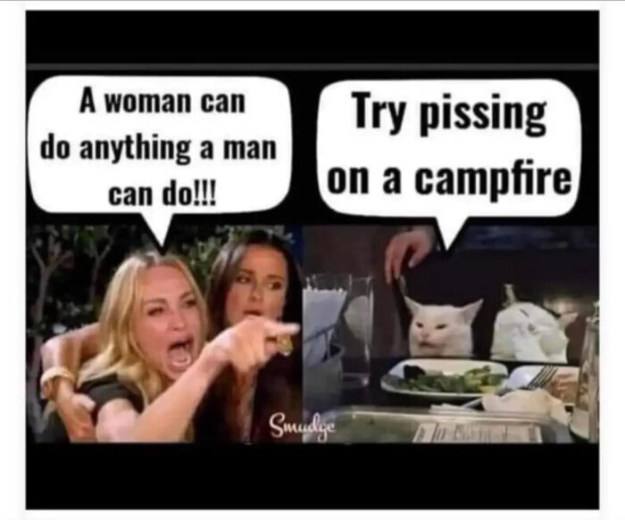 Meme med två rutor, den första visar två kvinnor och texten "A woman can do anything a man can do!!!", den andra visar en katt och texten "Try pissing on a campfire".