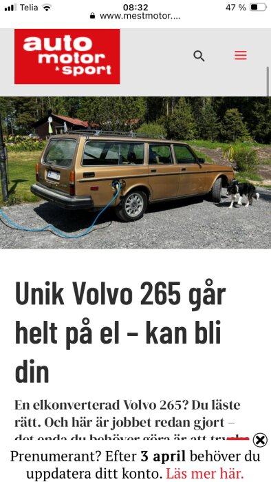 En brun Volvo 265 station wagon som laddas med en blå laddningssladd, med en hund bredvid bilen.