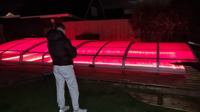 Person ser på upplysta växthus med röda LED-lampor nattetid.