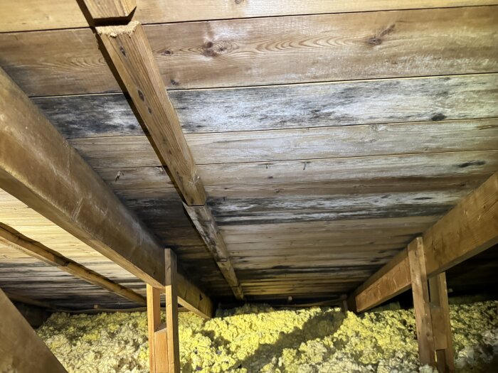 Innertak i trä och takbjälkar med synliga mörkare fläckar och isolering på golv.