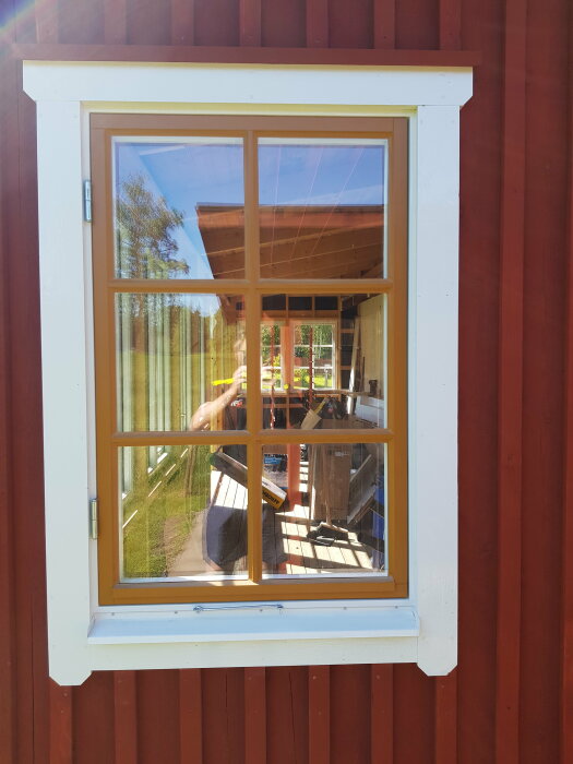 Nymålat fönster med linoljefärg på röd trävägg, kittad och förberedd för ytterligare målning.