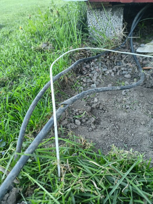 Skadat kabel grävt bara 4mm under markytan nära bastudäcket, synligt bland gräset och småsten.