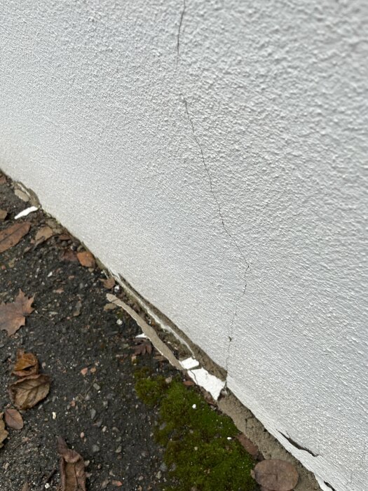 En spricka i putsen på en stödmur vid asfalten med synlig armering och löv på marken.
