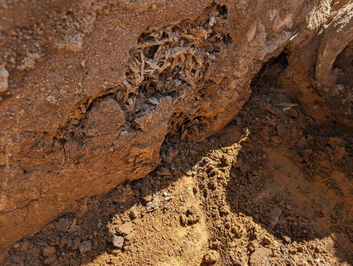 Porös betongplatta med stora hål och skador, synliga efter grävning för att undersöka vatteninträngning.