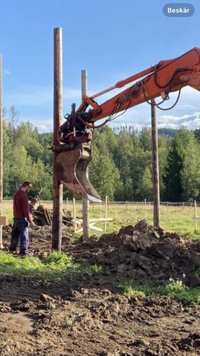 Grävmaskin reser telefonstolpar på en lerig mark med en person som övervakar arbetet.