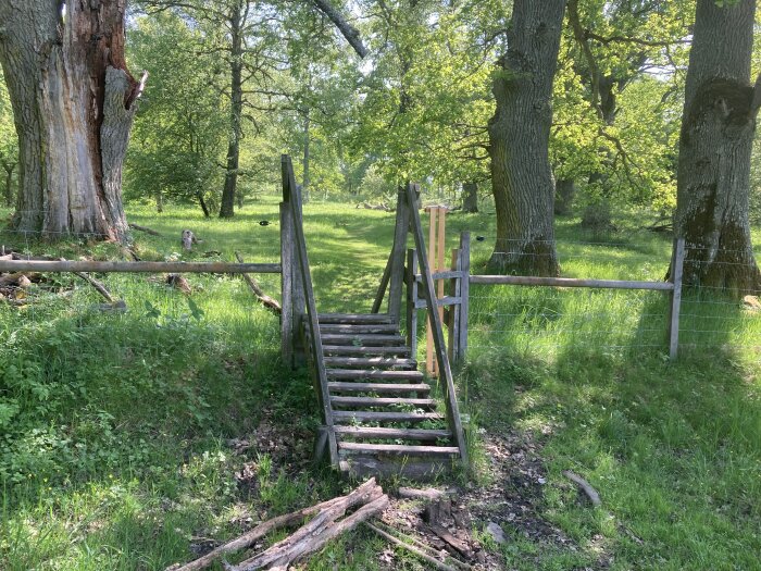 Gammal trätrapp över stängsel i grönskande naturmiljö.