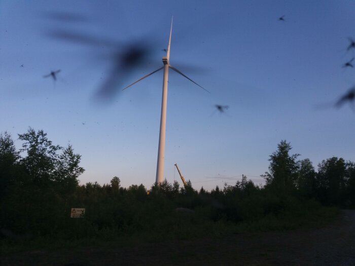 Vindkraftverk med mygg i förgrunden som flyger i skymningen.