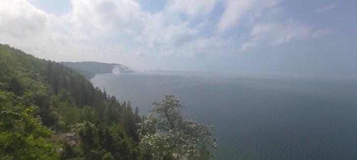 Panoramavy över skogklädd kustlinje med dimma som rör sig över havet.