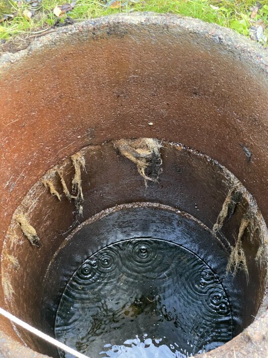 Bild på insidan av en gammal brunn fylld med vatten med synliga rötter som hänger från kanten.