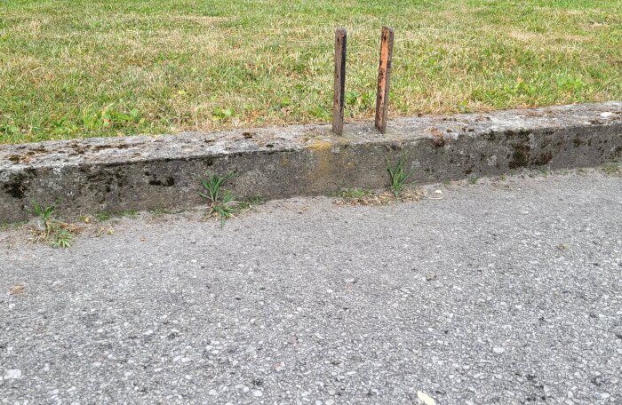 Betongkant med utstickande plintjärn framför gräsmatta och grusväg.