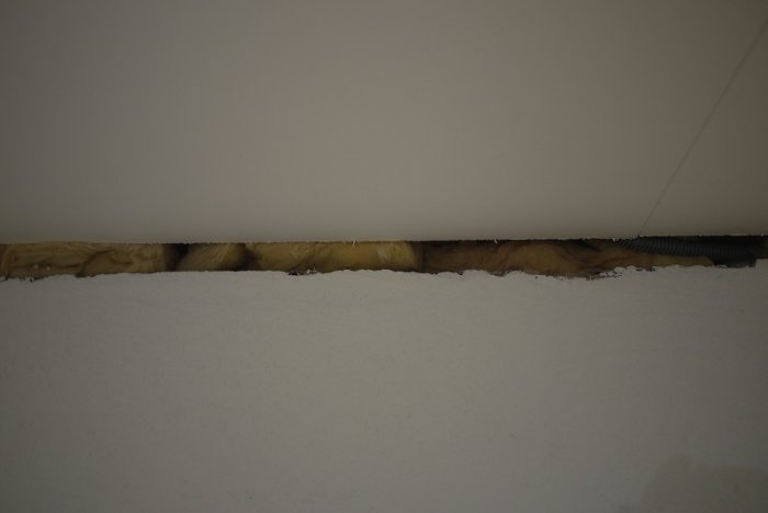 P1060347.jpg