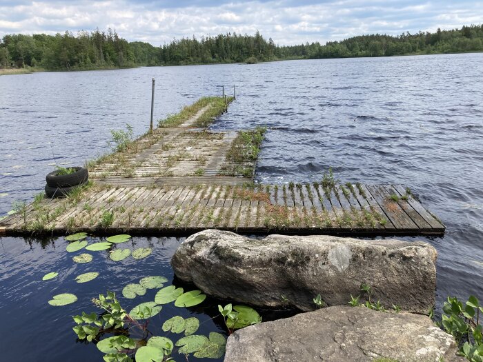 Gamla flytbrygga i dåligt skick med segment på sjö, omgiven av natur och näckrosor.