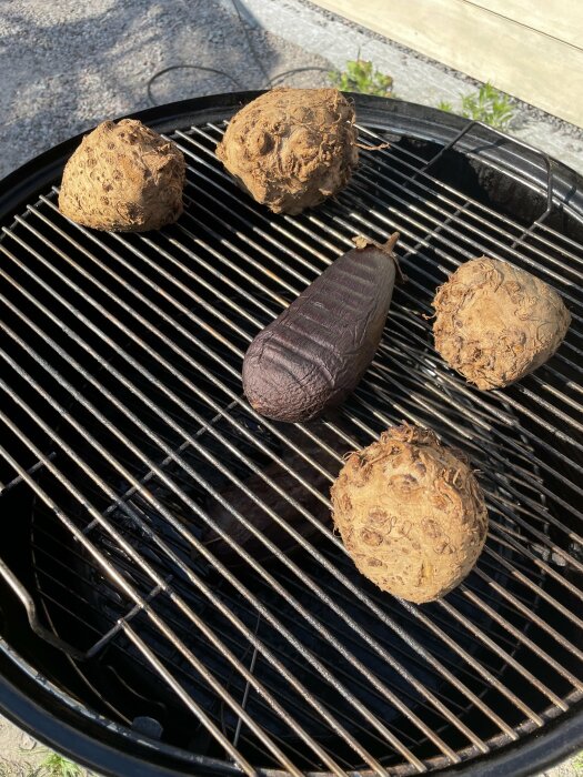 Rotselleri och aubergine på grillgaller av en rök klar för varmrökning.