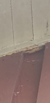Skada där tak möter vägg med synliga sprickor och avskalad färg.