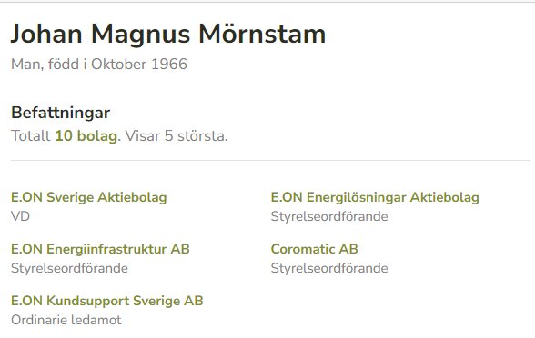 Översikt över Johan Magnus Mörnstams befattningar inom olika bolag, inklusive VD och styrelseordförande roller.