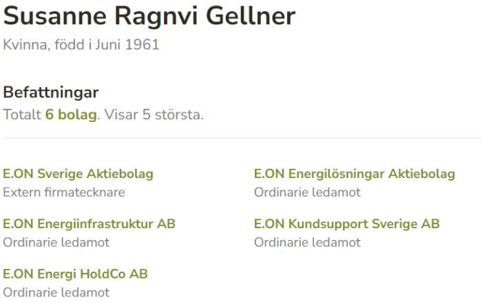 Översikt av Susanne Ragnvi Gellners styrelsepositioner i sex olika bolag relaterade till E.ON.