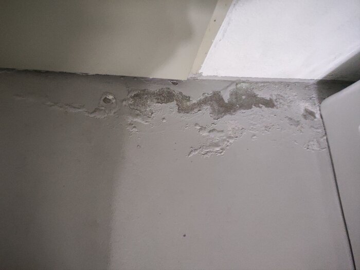 Färg lossning och möjliga fuktskador längs källargolvet intill en vägg.