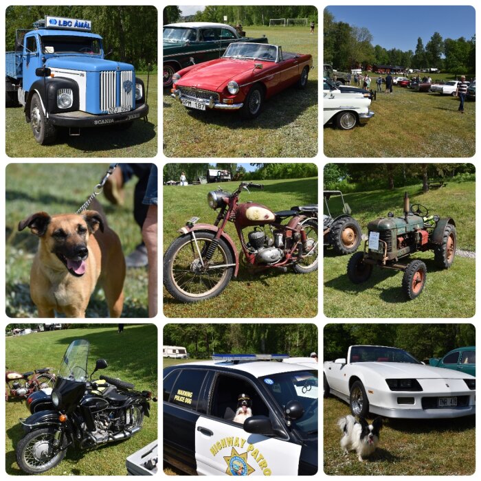 Kollage av fordon från Motordag i Ånimskog: klassiska bilar, motorcyklar, en lastbil, en traktor och en hund.