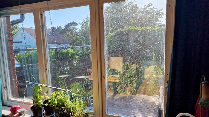 Utsikt genom ett fönster med krukväxter som visar en trädgård med ett soligt väder.