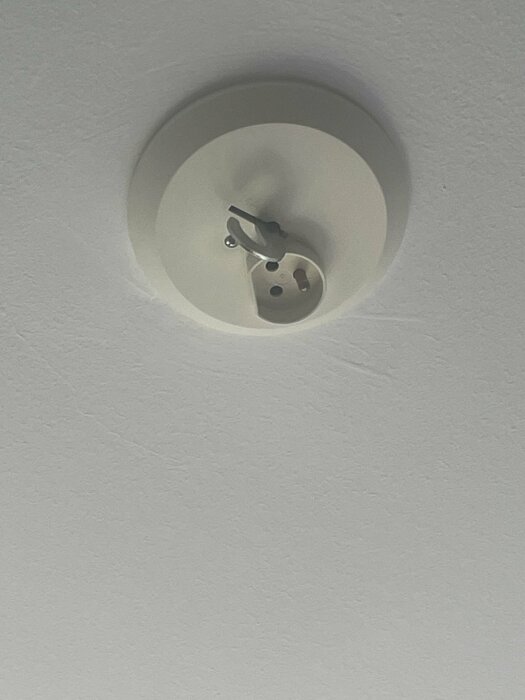 Takmonterad lampa utan skärm med synliga blå kablar och strömbrytare.