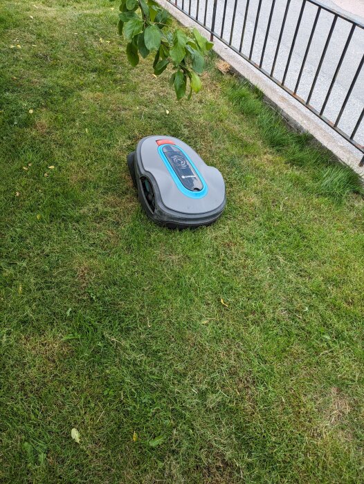 Robotgräsklippare fastnat på en gräsmatta med löv och en buske i närheten.