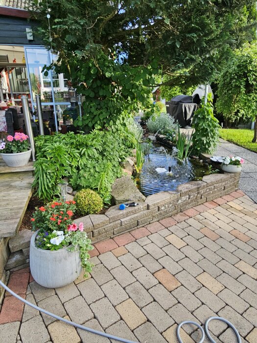 Trädgård med krukor av blommor, gröna växter och en liten damm vid ett hus.