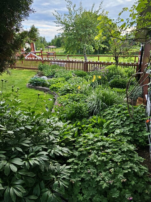 Lummig trädgård med gröna växter, krukor och amplar, omgivna av ett rött staket.