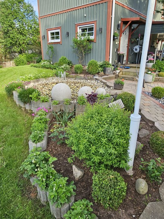 Trädgård med gröna växter i krukor och rabatter framför ett hus med grönt träslag.