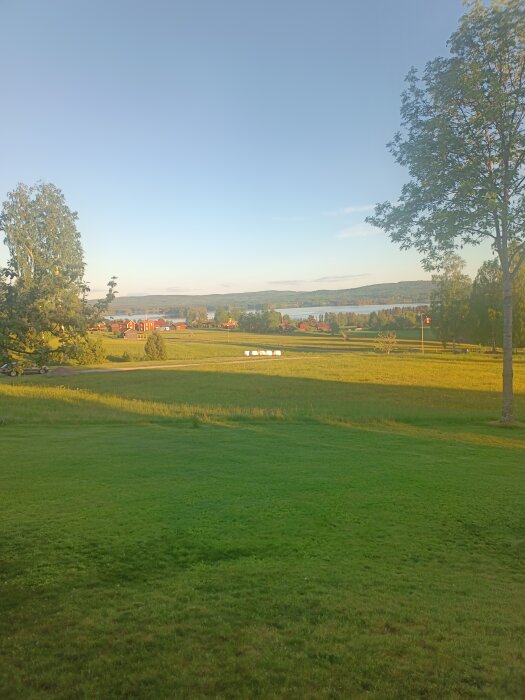 Utsikt över en lummig trädgård med en blommande hästkastanj och landskap i bakgrunden under våren.