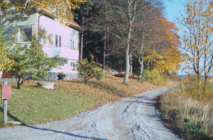 Rosa hus från 1965 omgivet av höstlöv och träd längs en grusväg.