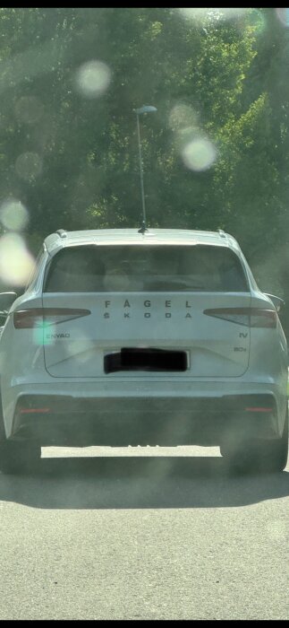 Bakifrån bild av en grå bil med bokstäverna "FÅGEL" på märket där det normalt står "ŠKODA".