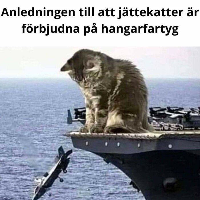 Stor katt fotomontage ser ut att sitta på hangarfartygs framkant ovanpå jaktplan, havet i bakgrunden.