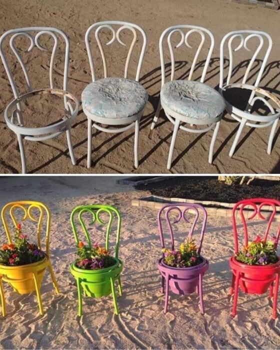 Gamla stolar förvandlas till blomkrukor, övre delen före och nedre efter målning och plantering.