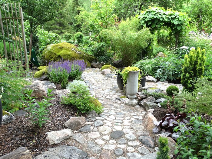Stenlagd trädgårdsgång omgiven av frodig grönska och varierade växter med mossbeklädd sten och urna.