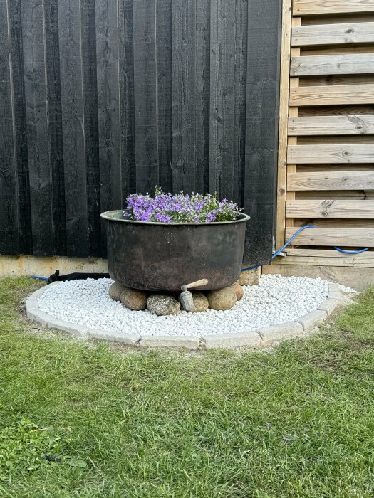 Koppartunna planterad med blommor på vit stenbädd med kantsten, mot svart staket och träspaljé.