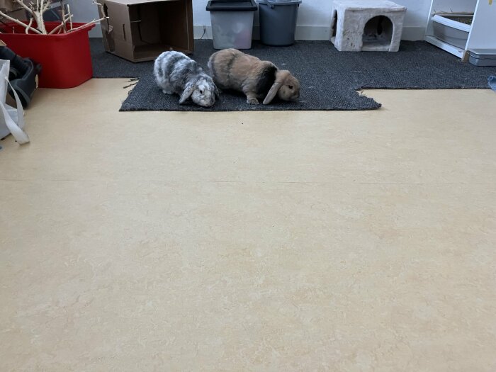 Två kaniner på ett golv med synlig tejpad skarv, omgivna av hushållsföremål.