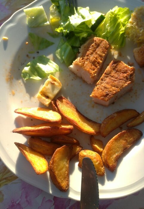 Tallrik med flintastek, potatisklyftor och grönsallad i solljus, sommarskuggor synliga.