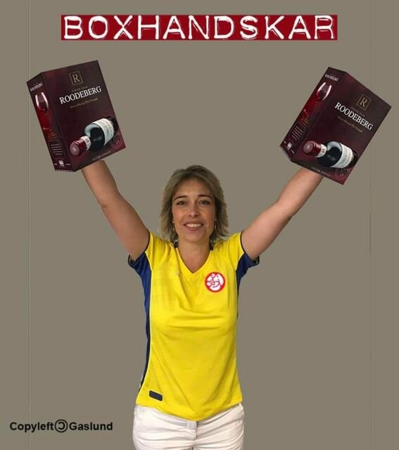 Kvinna i gul och blå tröja håller upp två boxar Rooderberg vin, texten "BOXHANDSKAR" överst.